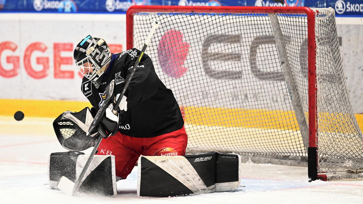 Liberec získal gólmana z Kladna